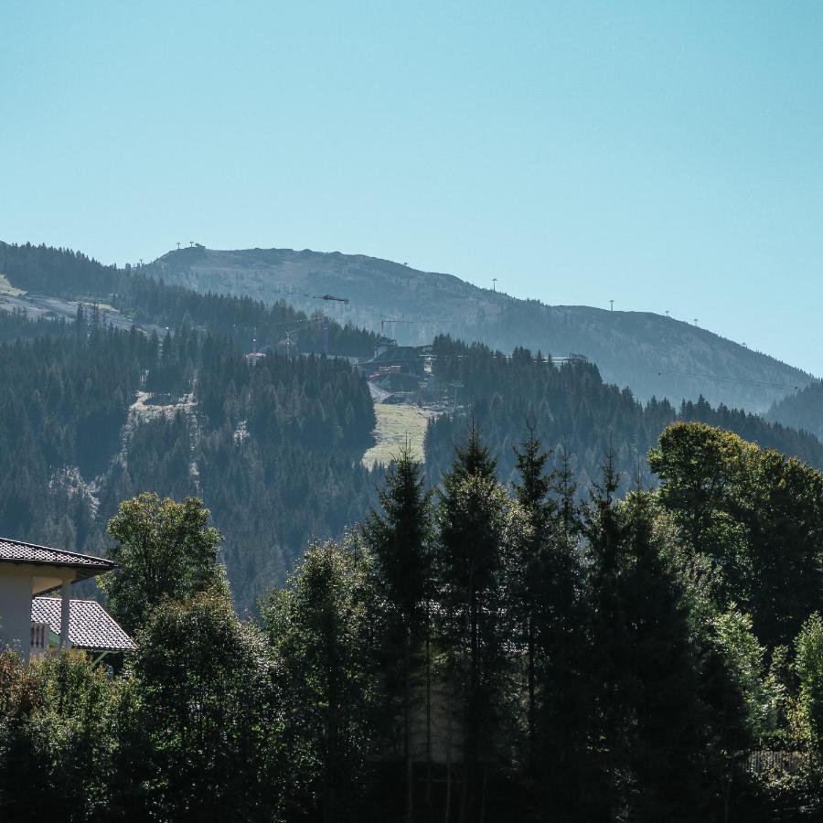 Apartmán Siegi's